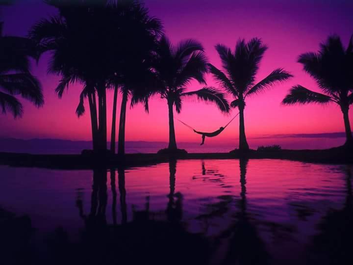Casa Adriana Puerto Vallarta Ngoại thất bức ảnh
